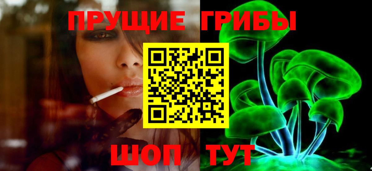 Псилоцибиновые грибы Psilocybe Лабинск